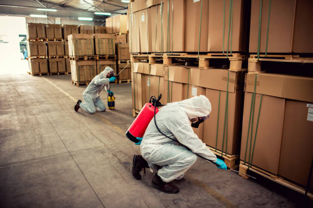 Best Pest Control Near Me  in Jarrettsville, MD