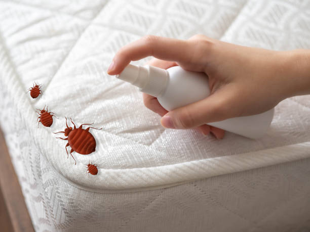 Best Commercial Pest Control Services  in Jarrettsville, MD